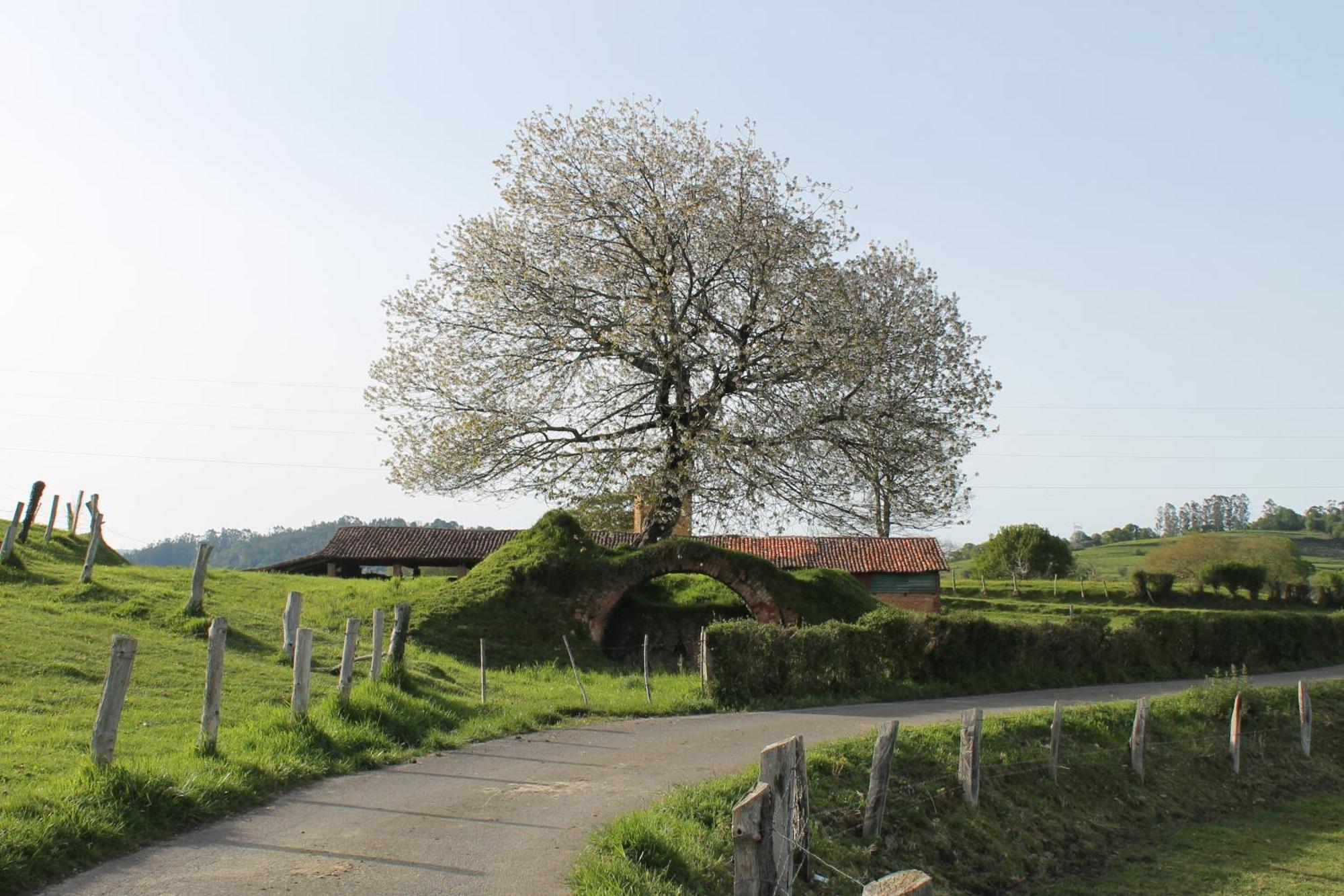 Casa De Aldea Monga 9 En Nava, Asturias Villa Buitenkant foto