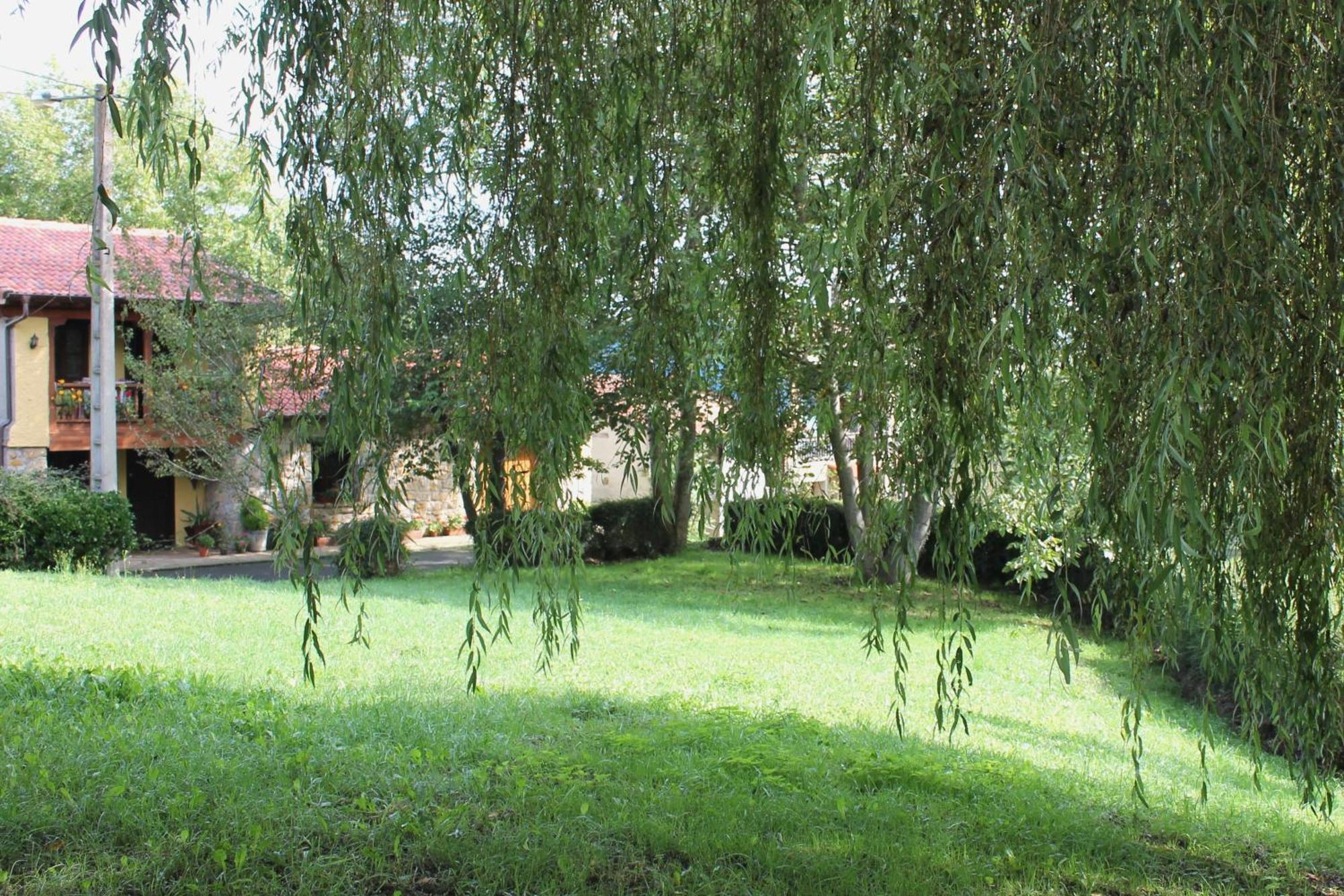 Casa De Aldea Monga 9 En Nava, Asturias Villa Buitenkant foto